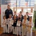 Gmina Mszana Dolna: Taekwondziści z medalami