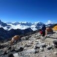 6 grudnia 2013 - Podróże dalekie i bliskie - NEPAL